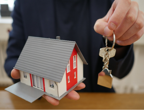 What is a Life Property Interest Trust?