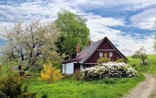 A quaint cottage in the British countryside, pictured on a sunny day