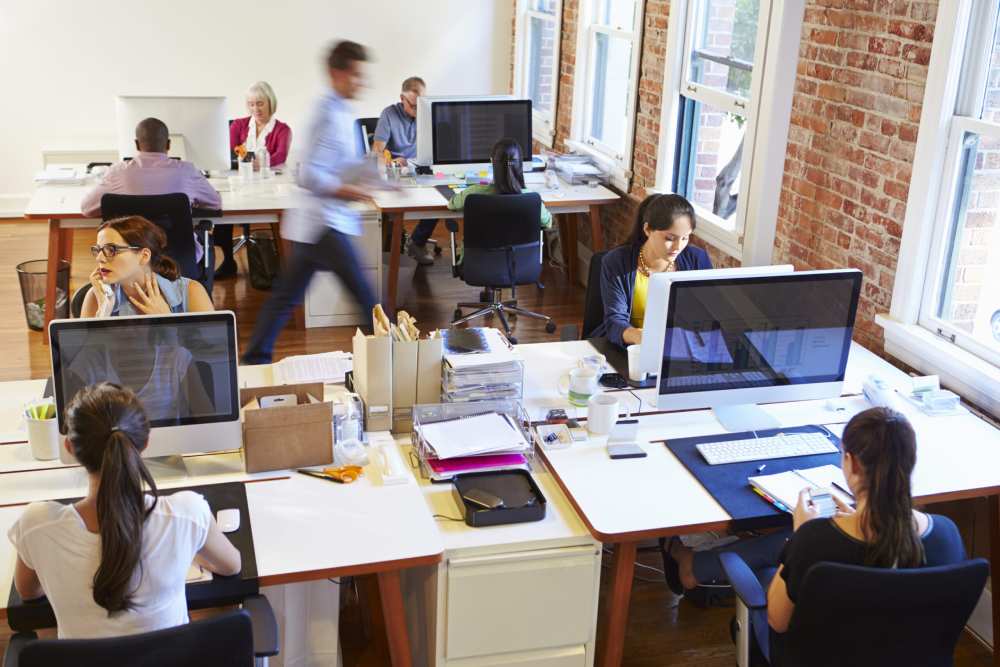 Employees work at their desks in a bright and modern office