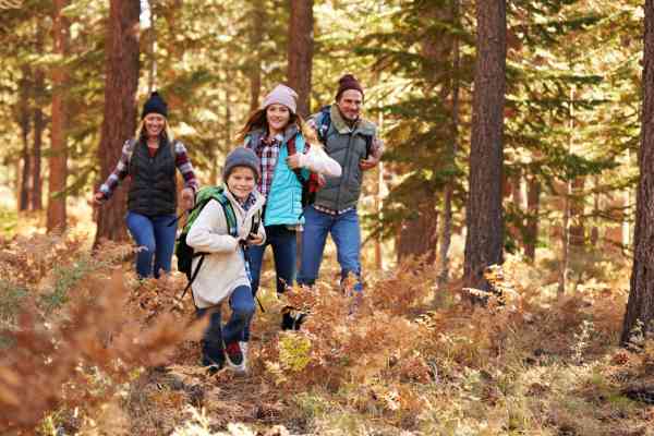 A young family go on a leisurely walk through the forest on a sunny day