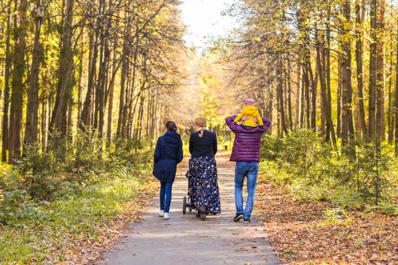 A family take a leisurely walk though the forest on a sunny day